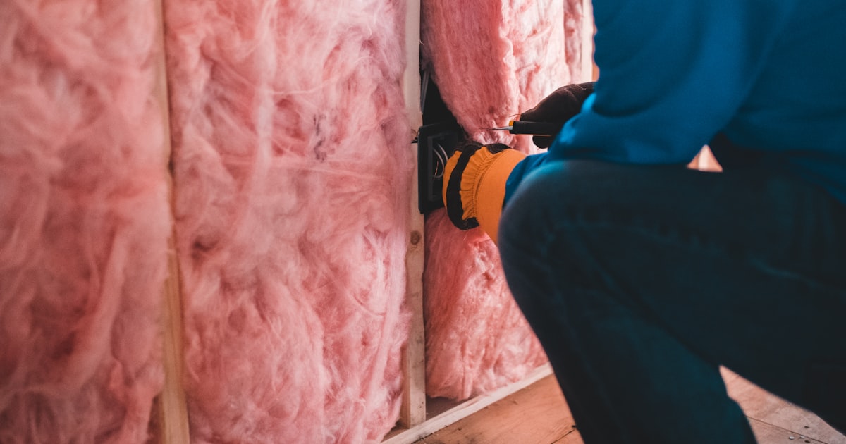 Choosing a Mold Inspection Service